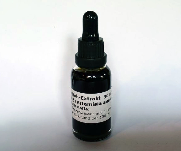 Artemisia annua Roh-Extrakt 30 ml